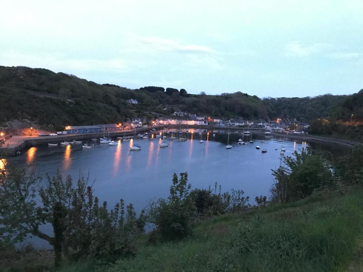 Hotel The Ferryboat Fishguard Exterior foto