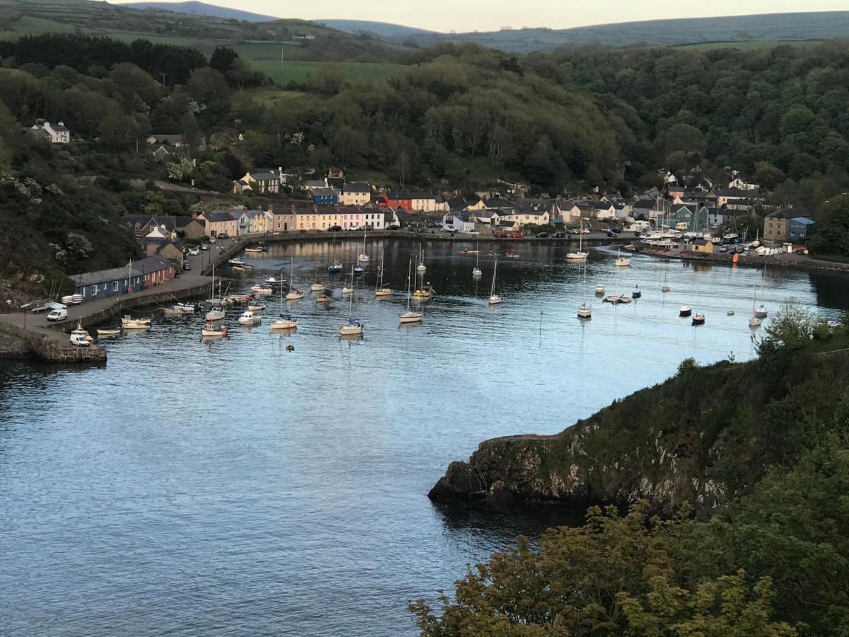 Hotel The Ferryboat Fishguard Exterior foto