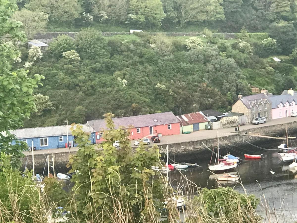Hotel The Ferryboat Fishguard Exterior foto